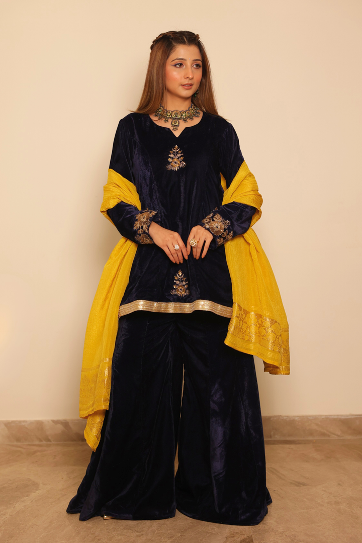 Rajwada Navy Embroidered Velvet Set